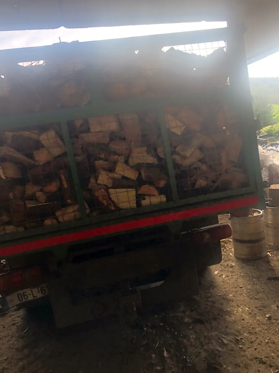Trailers of firewood - Image 2
