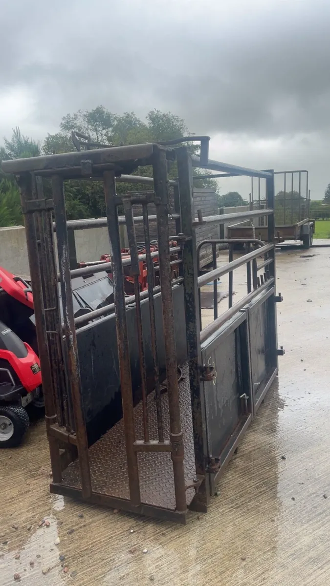 Cattle crush - Image 1