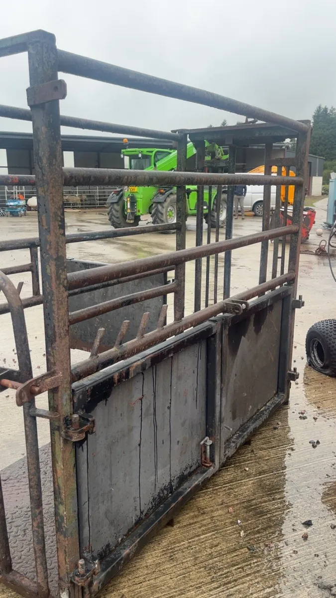Cattle crush - Image 2