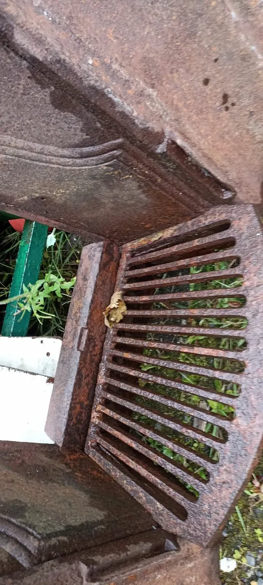 Cast Iron Insert - Image 1
