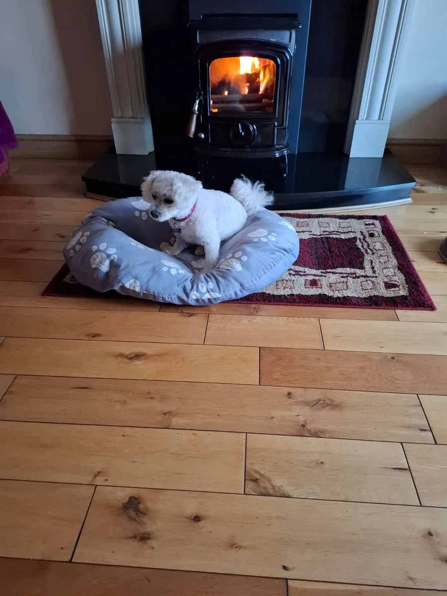Stanley Oisin stove - Image 1