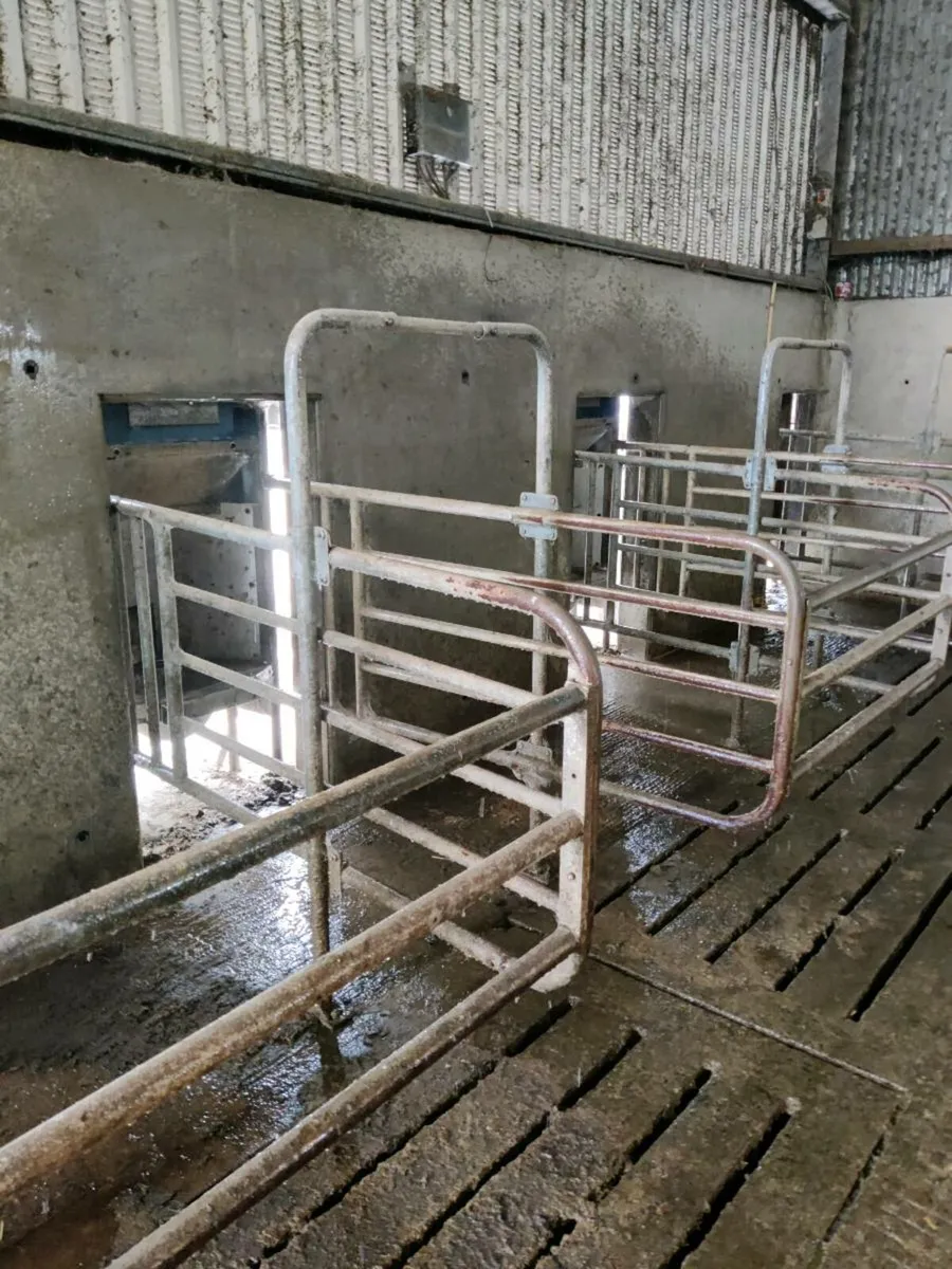 Our of parlor feeding system - Image 2