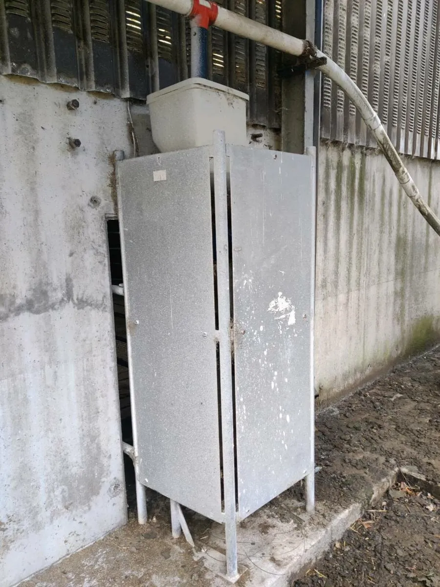 Our of parlor feeding system - Image 3