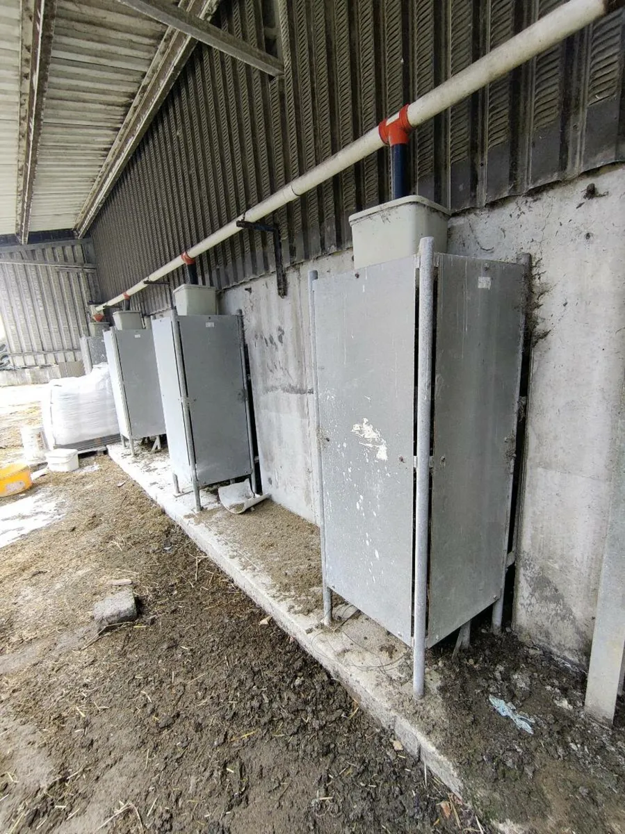 Our of parlor feeding system - Image 4