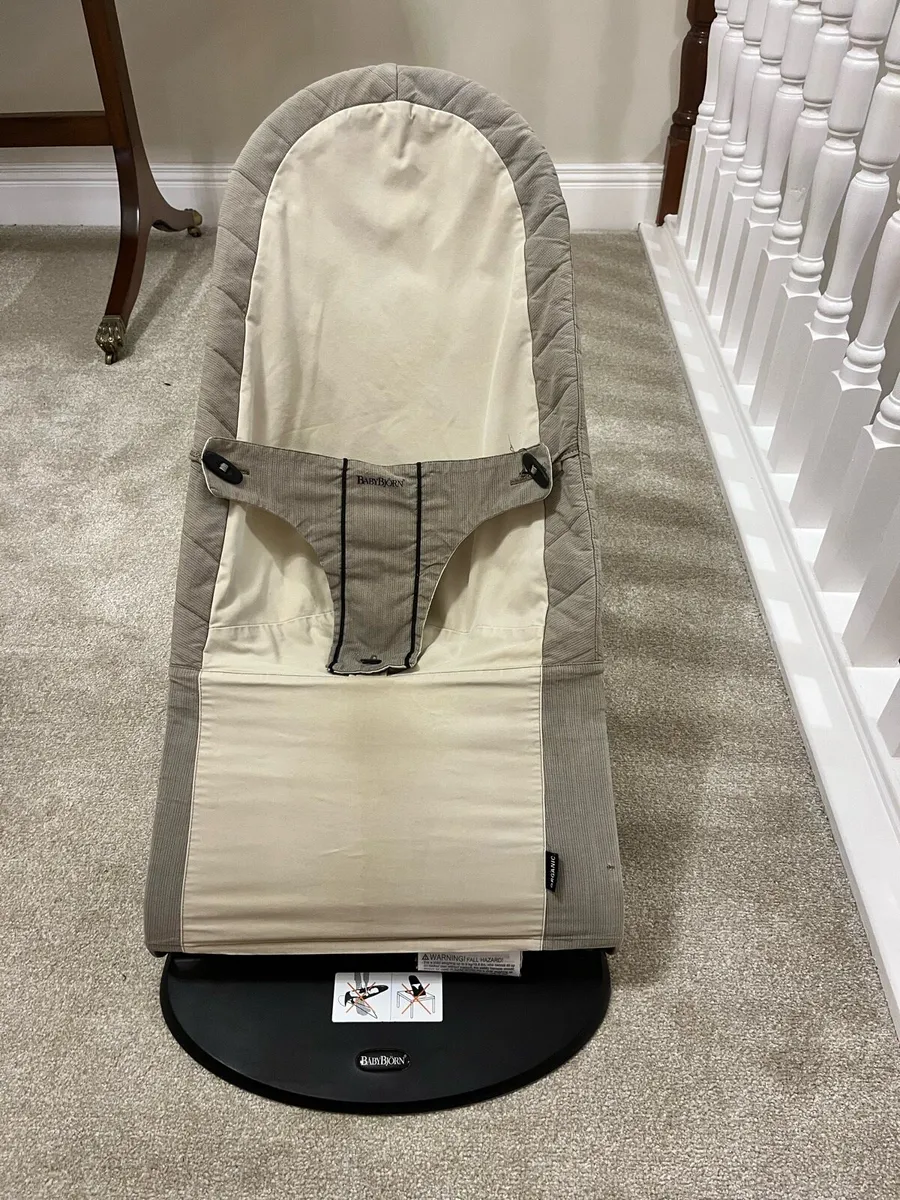 Baby Bjorn Bouncer – Excellent Condition