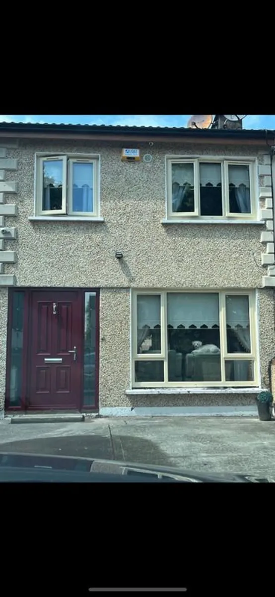 Pvc - Image 1