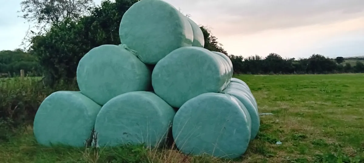 Silage bales & bale wrap €85 - Image 4