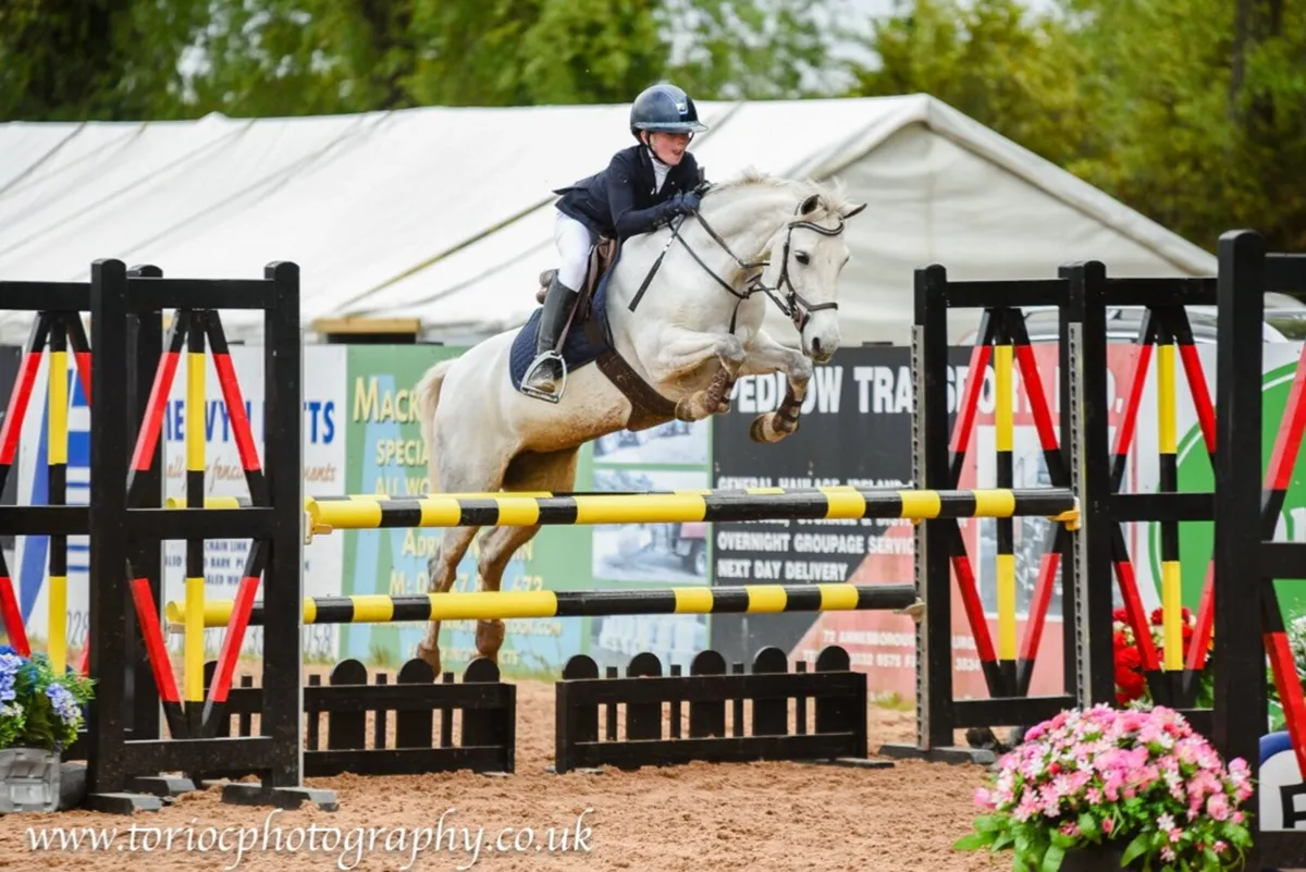 Top track 128 Pony - Image 3