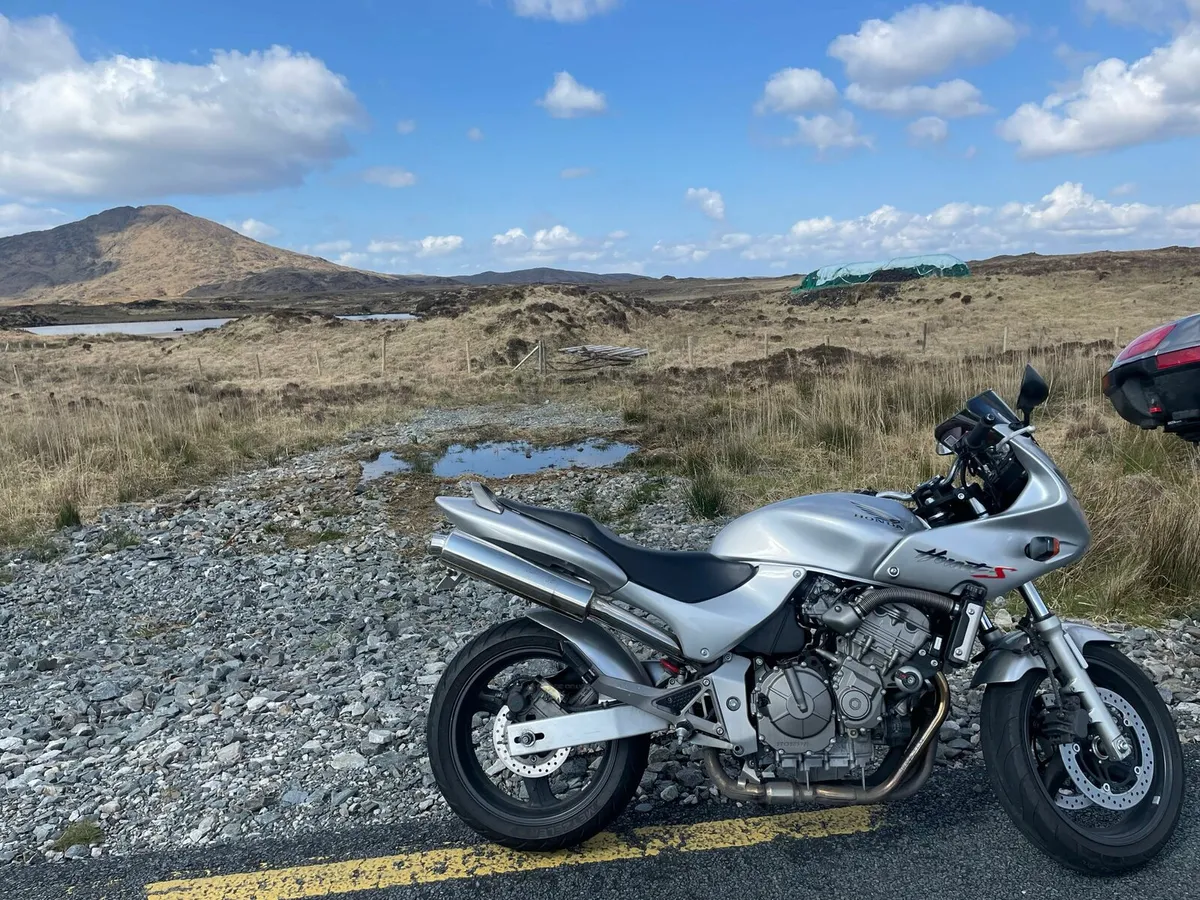Honda hornet 600 - Image 1