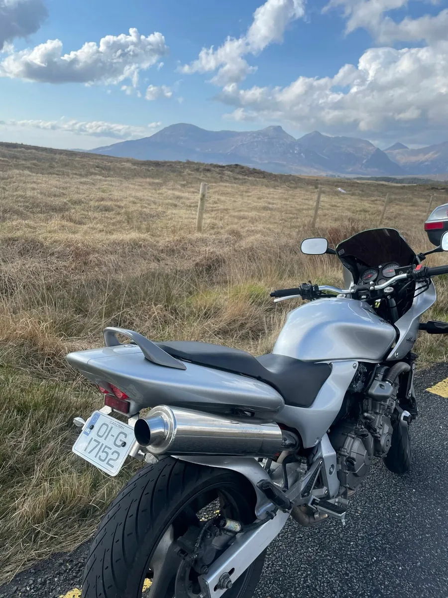 Honda hornet 600 - Image 2