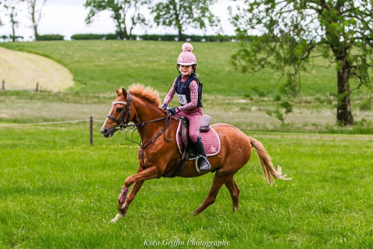 128 pony - Image 1