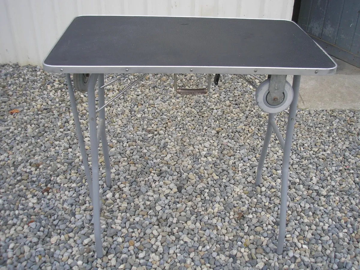 Foldable Grooming table - Image 1