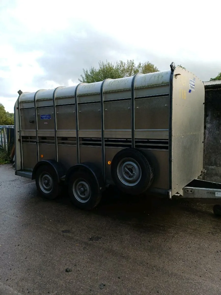 Ifor williams 12ft cattle trailer - Image 1