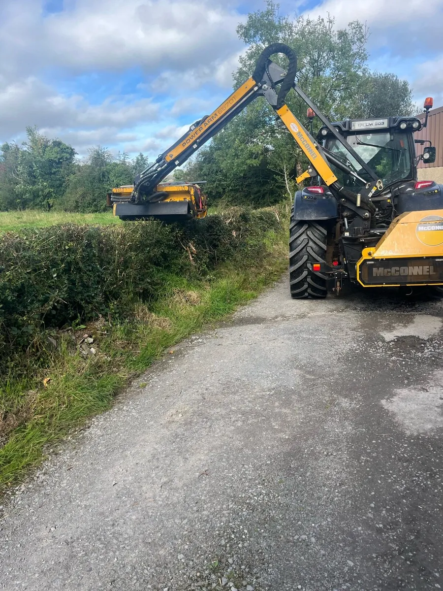 Hedge cutting/Mulching - Image 2