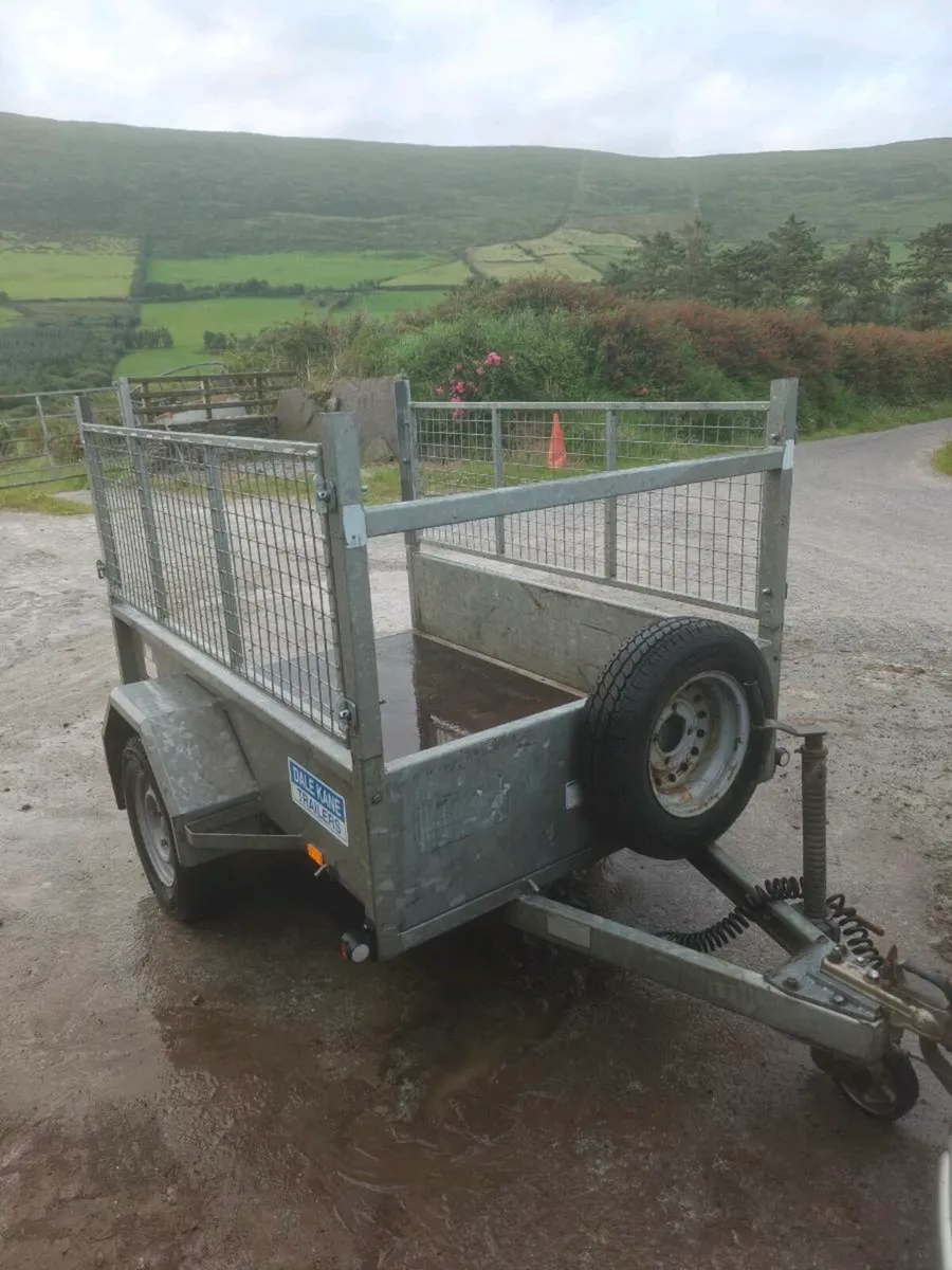 6 x 4 Dale Kane Car trailer - Image 4
