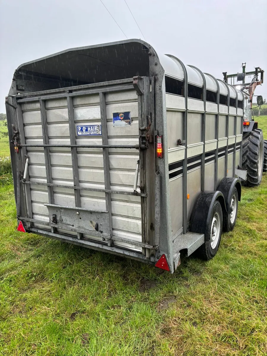 Ifor Williams 12x6 cattle box - Image 2