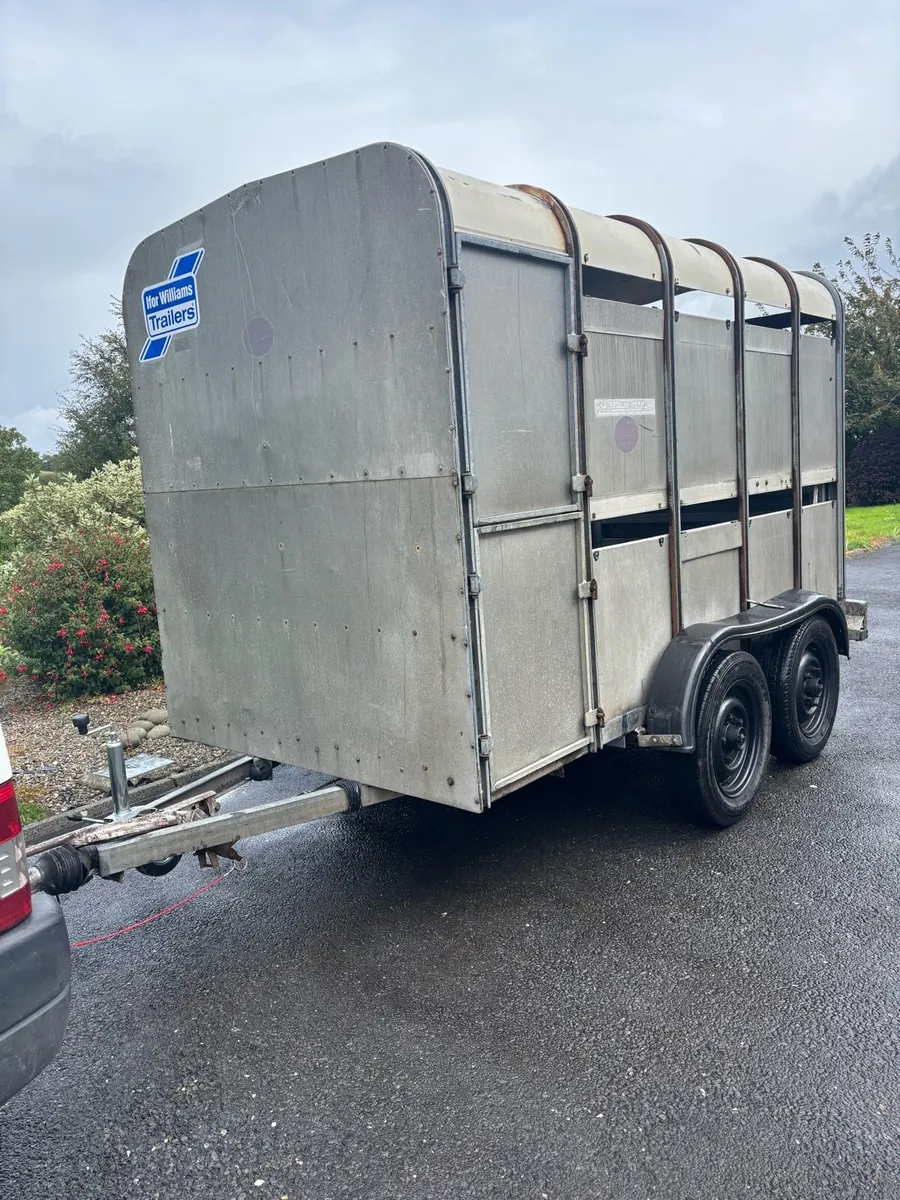 Ifor williams 10x5 cattle box - Image 1