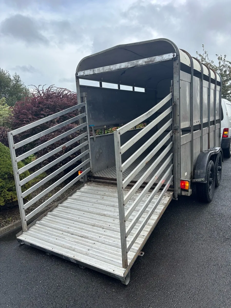 Ifor williams 10x5 cattle box - Image 2