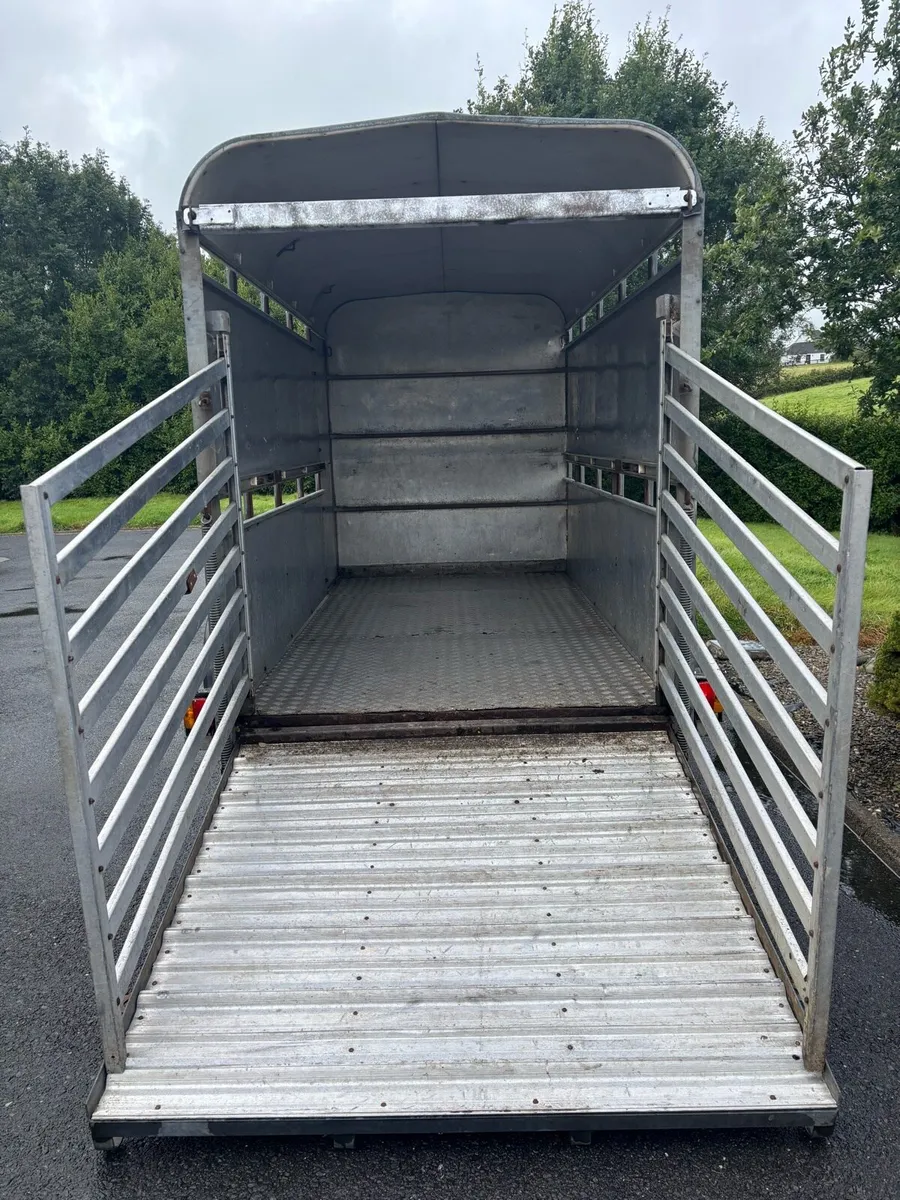 Ifor williams 10x5 cattle box - Image 3