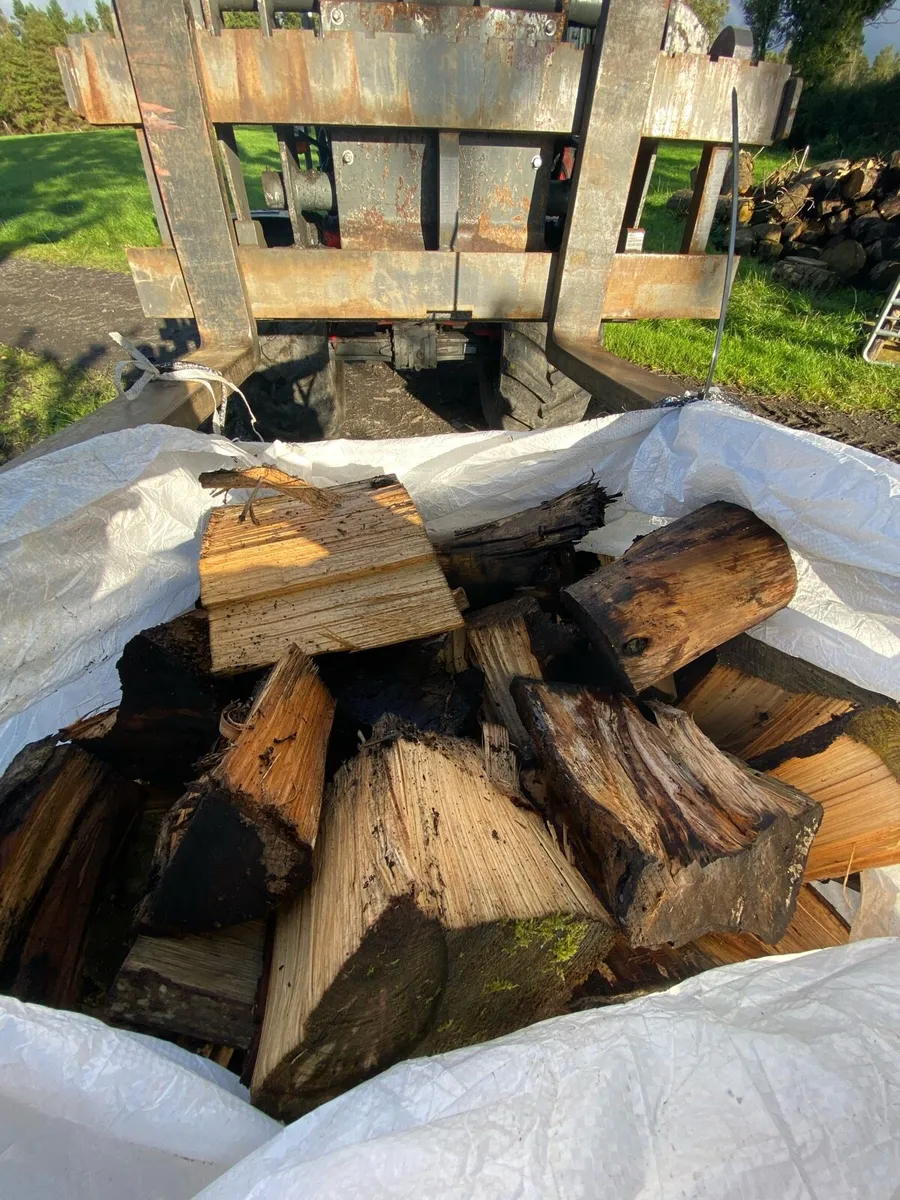 Fire wood - Image 2