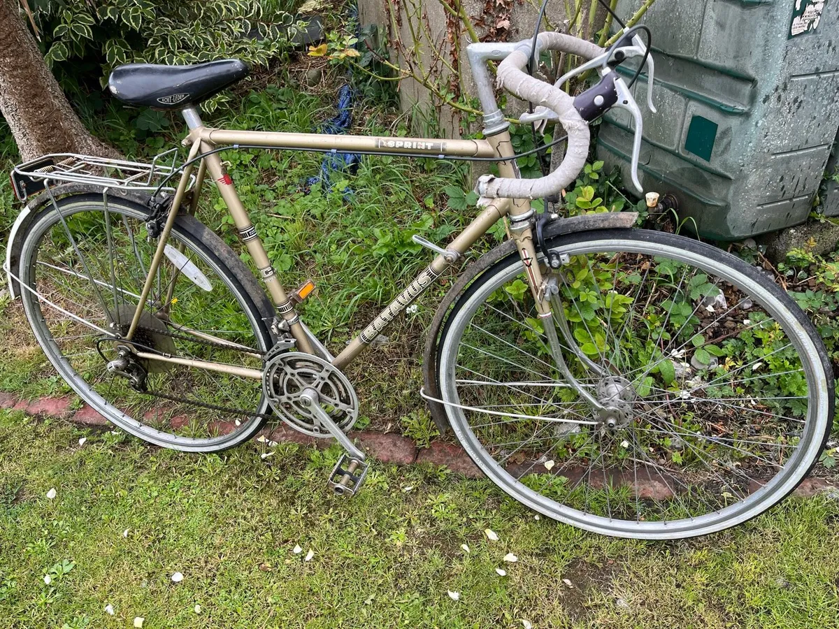 Vintage racer - Image 1