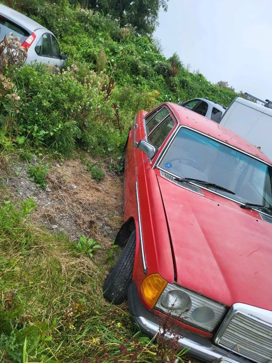 Mercedes w123 - Image 2