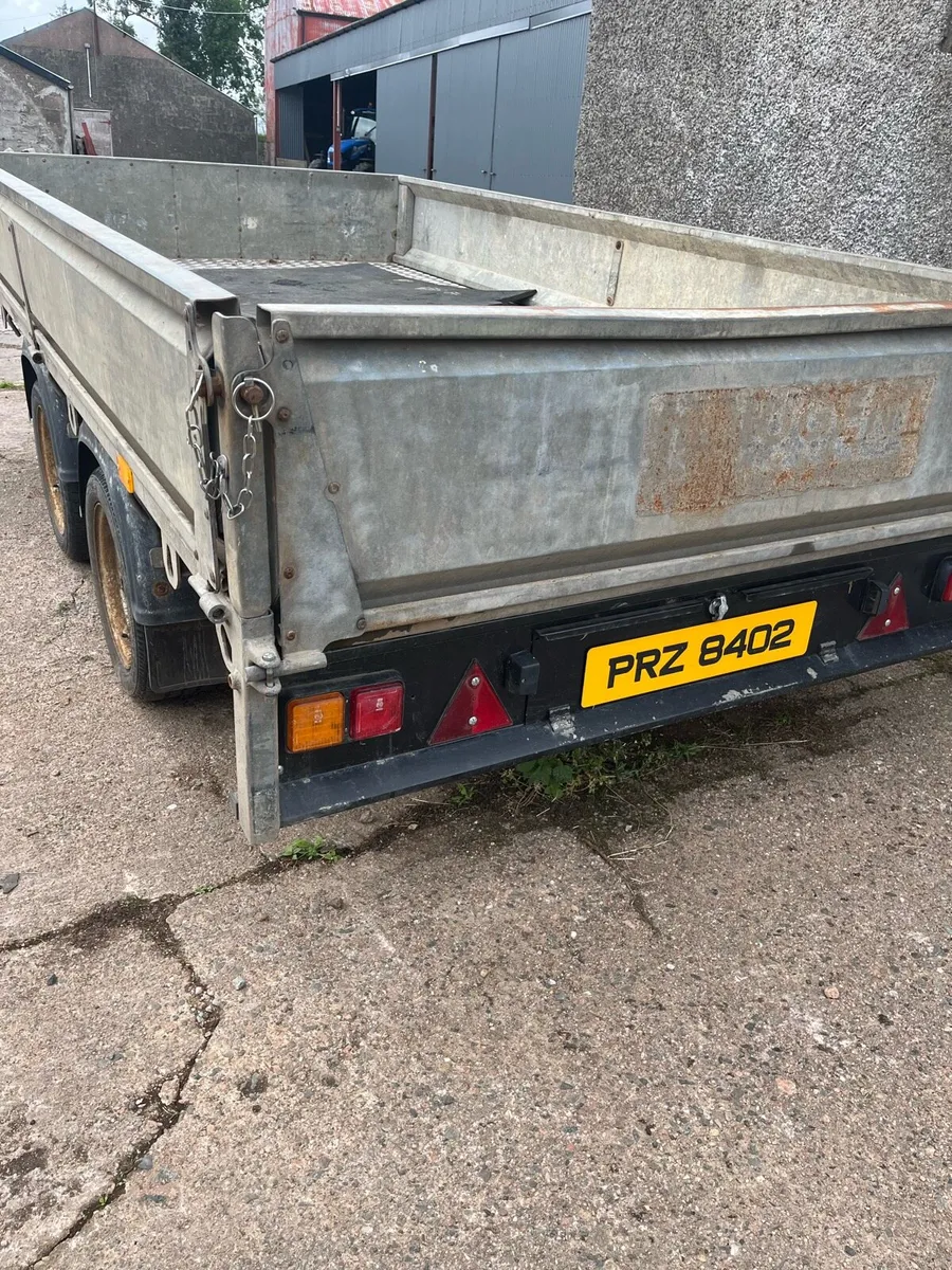 Nugent drop side builders trailer - Image 2