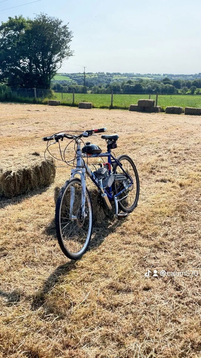 Engine bike - Image 1