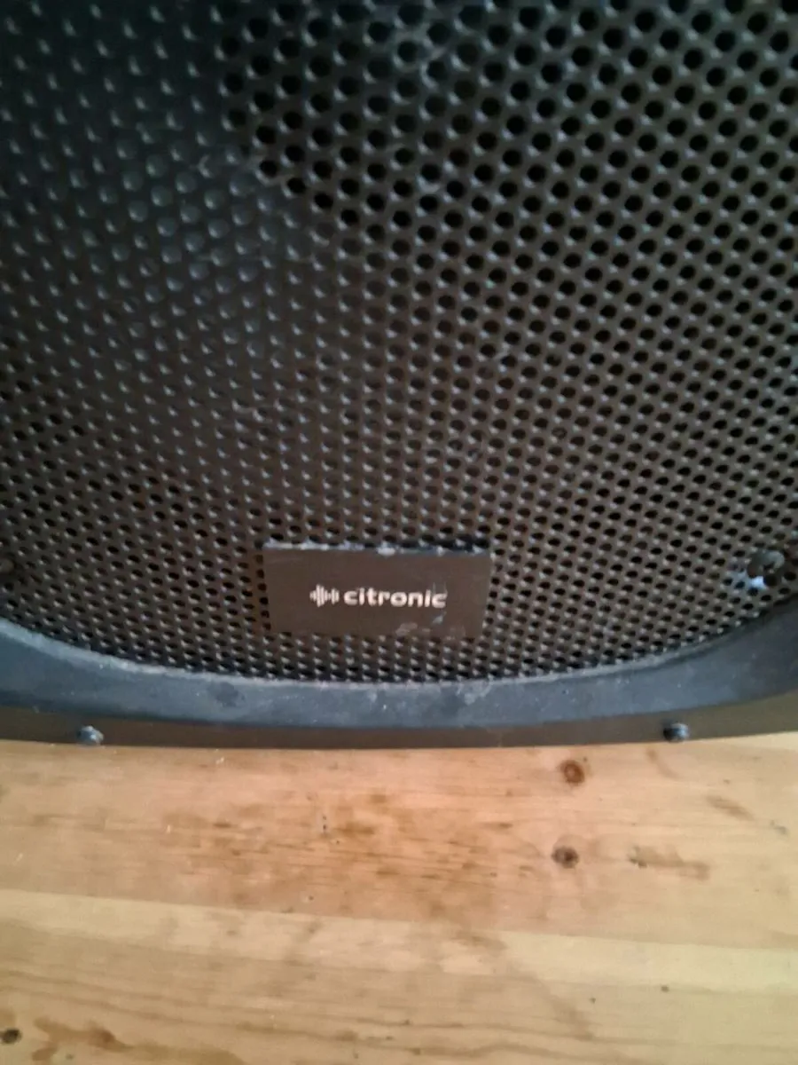 Speakers for djing for both €80 o.n.o. - Image 3