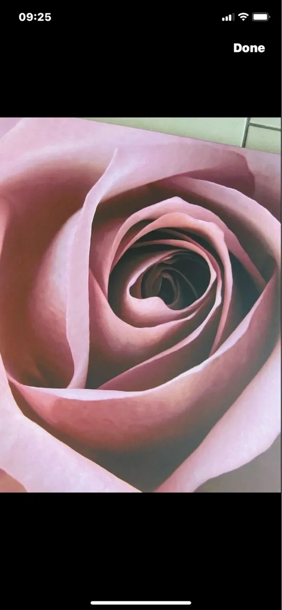 Large Rose Canvas Art - Image 2