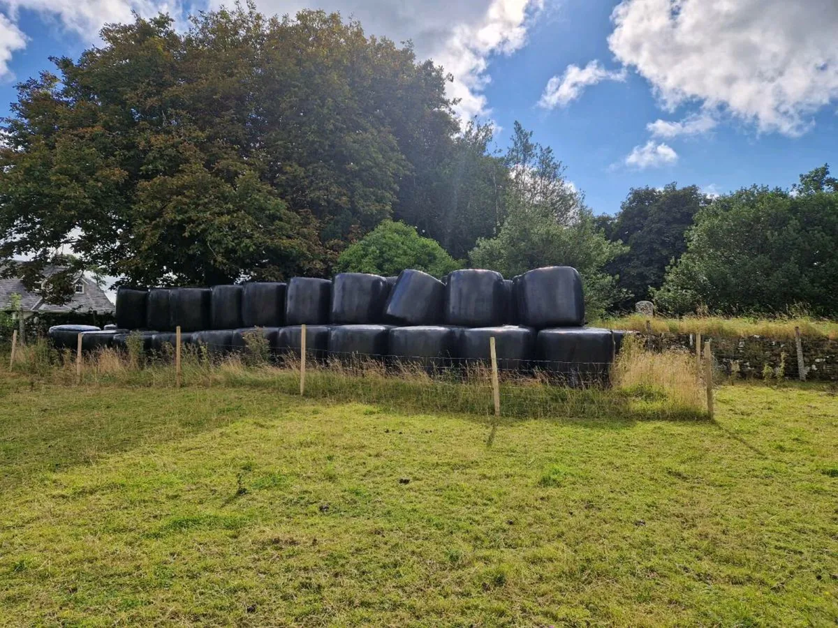 Top quality haylage
