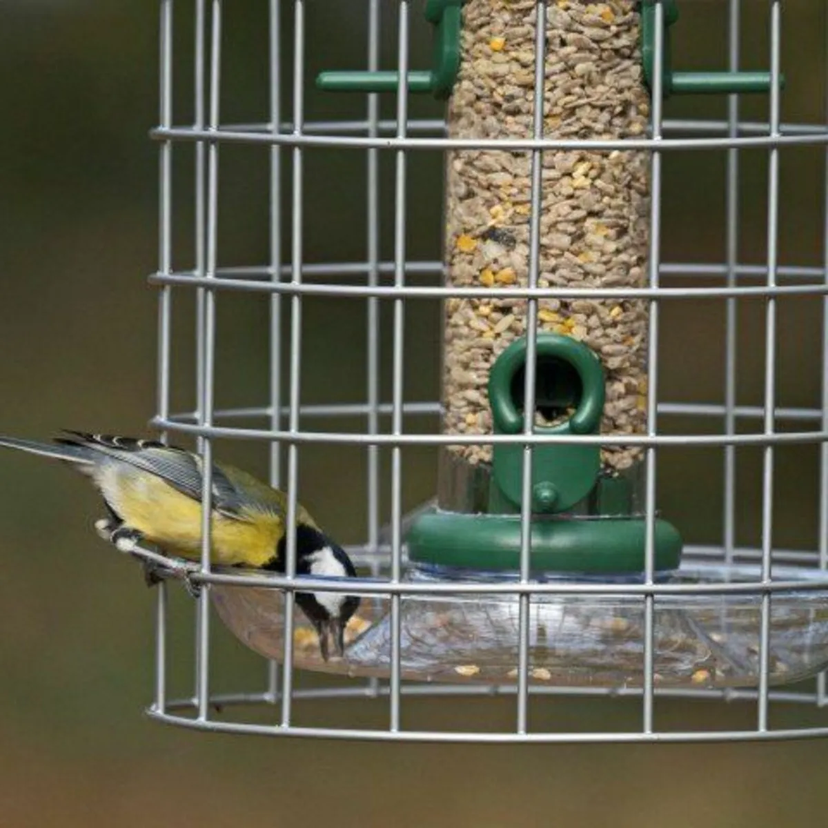 Bird Caged Seed Feeder - Image 2