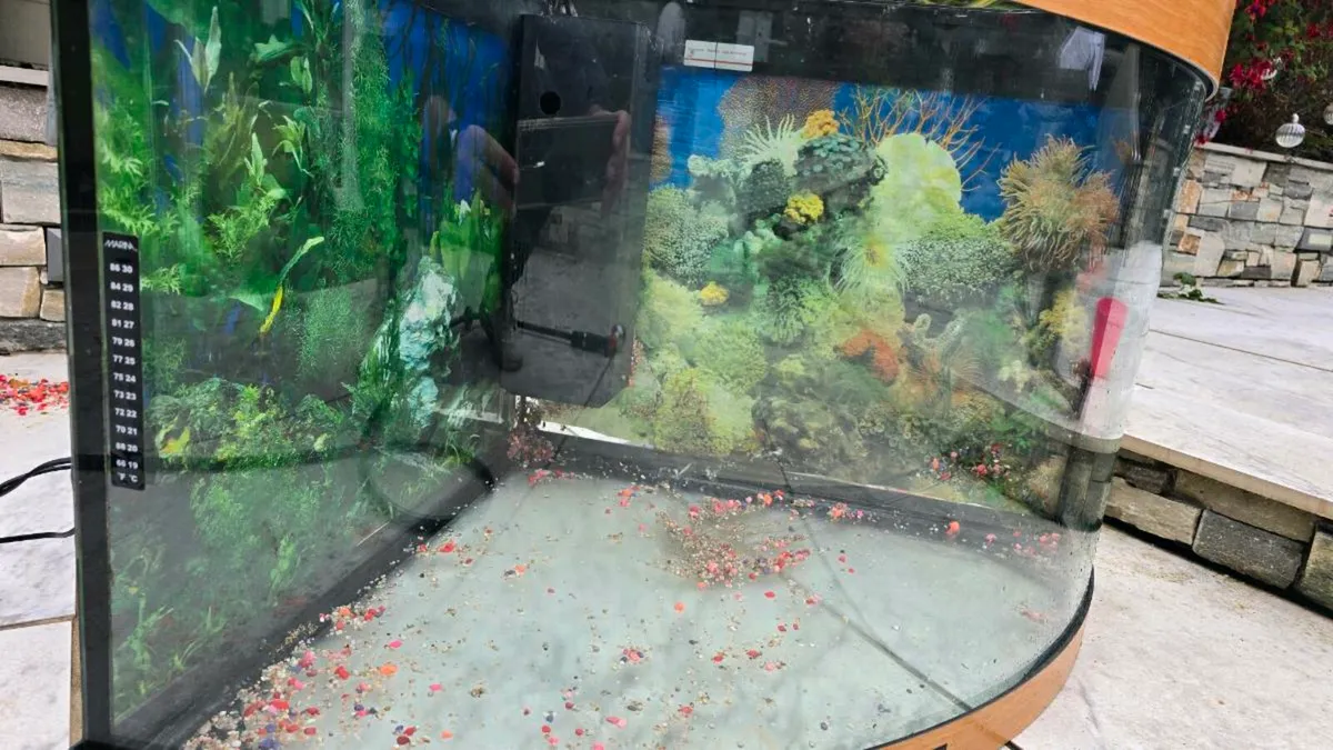 Fish Tank (190 L ) - Image 2