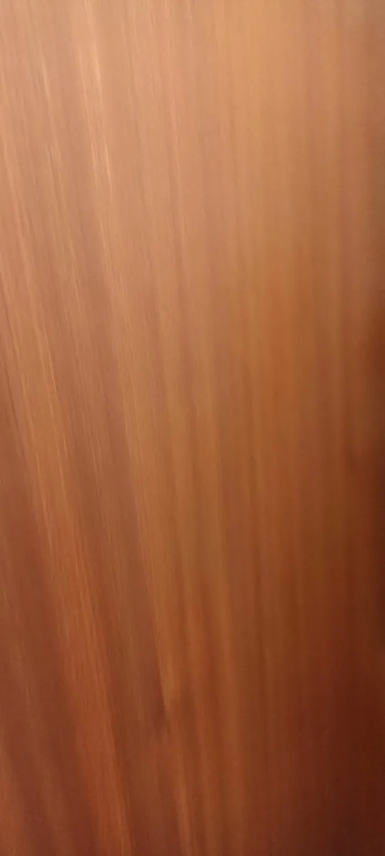 Door with Full Length Mirror - Image 1