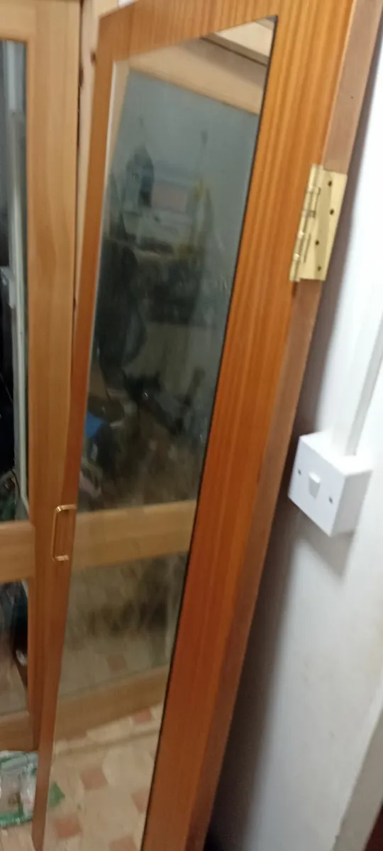Door with Full Length Mirror - Image 2