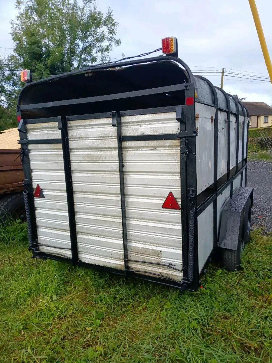 12ft iforwillaims cattle trailer - Image 2