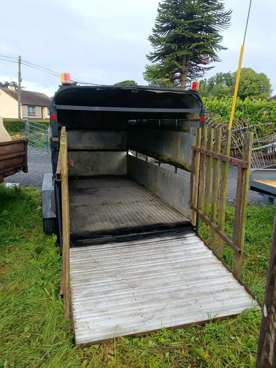 12ft iforwillaims cattle trailer - Image 3