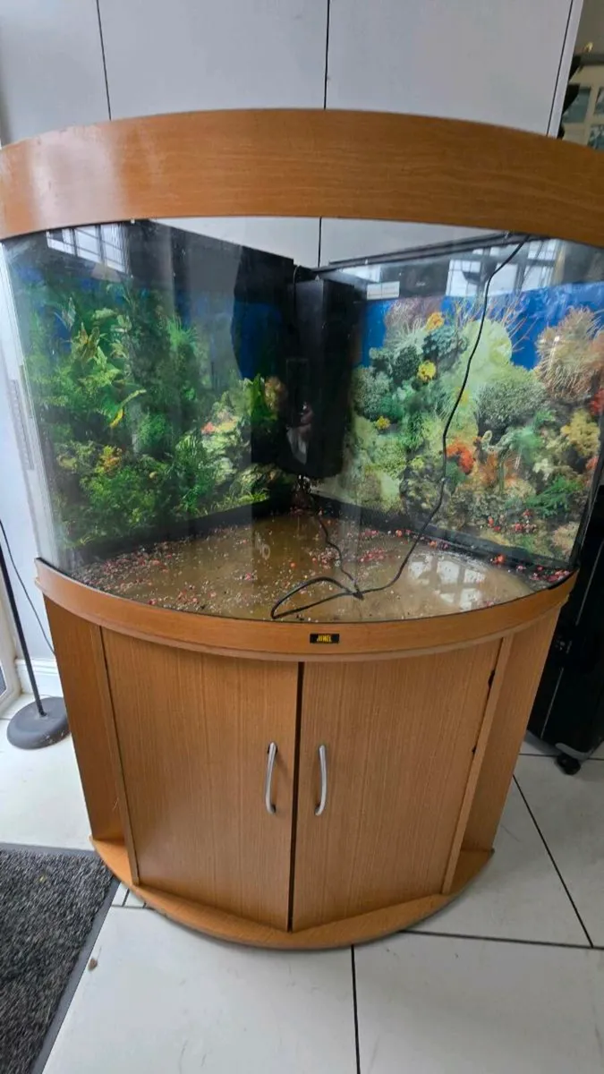 Fish Tank (190 L ) - Image 1