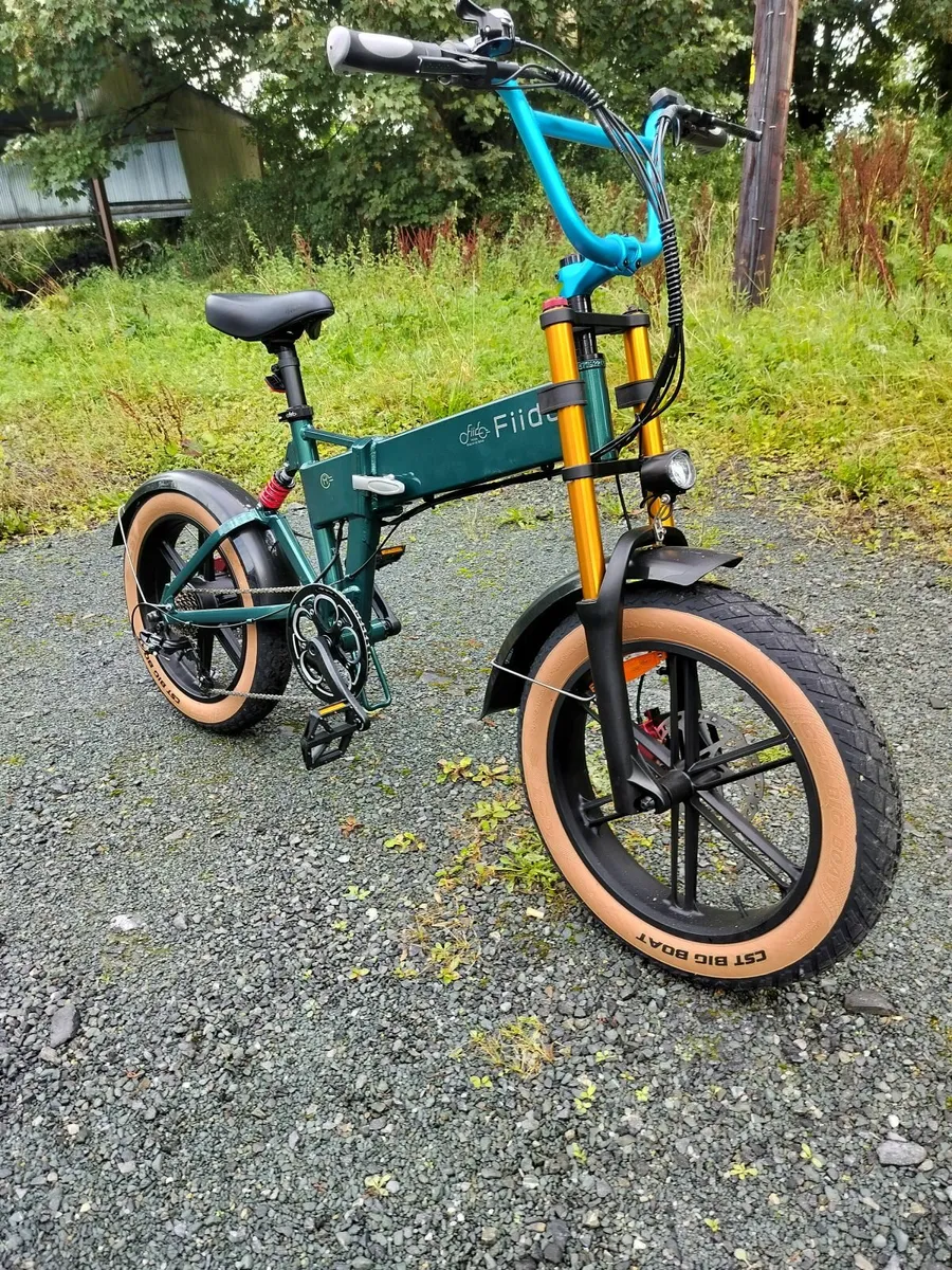 Fiido M1 Pro Electric Bike - Barely Used - Image 1