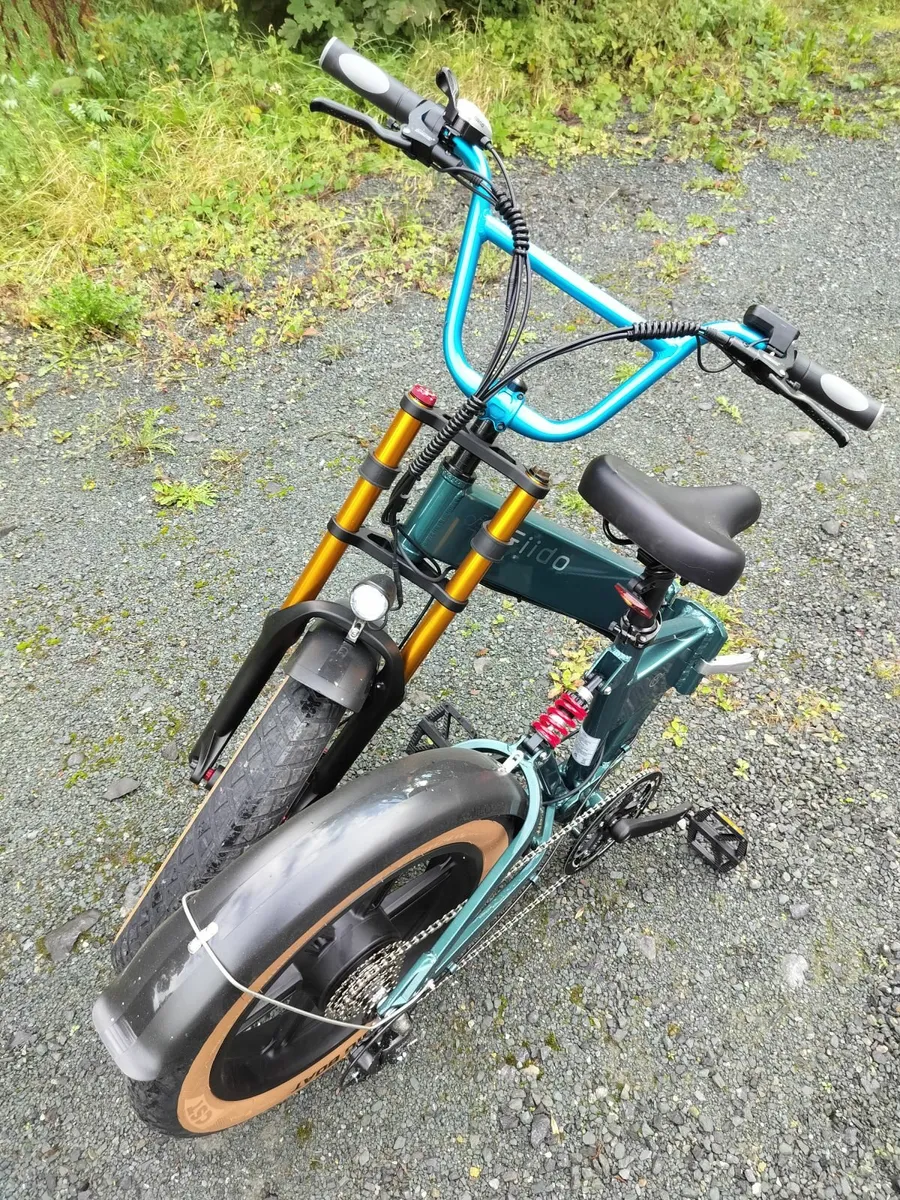 Fiido M1 Pro Electric Bike - Barely Used - Image 3