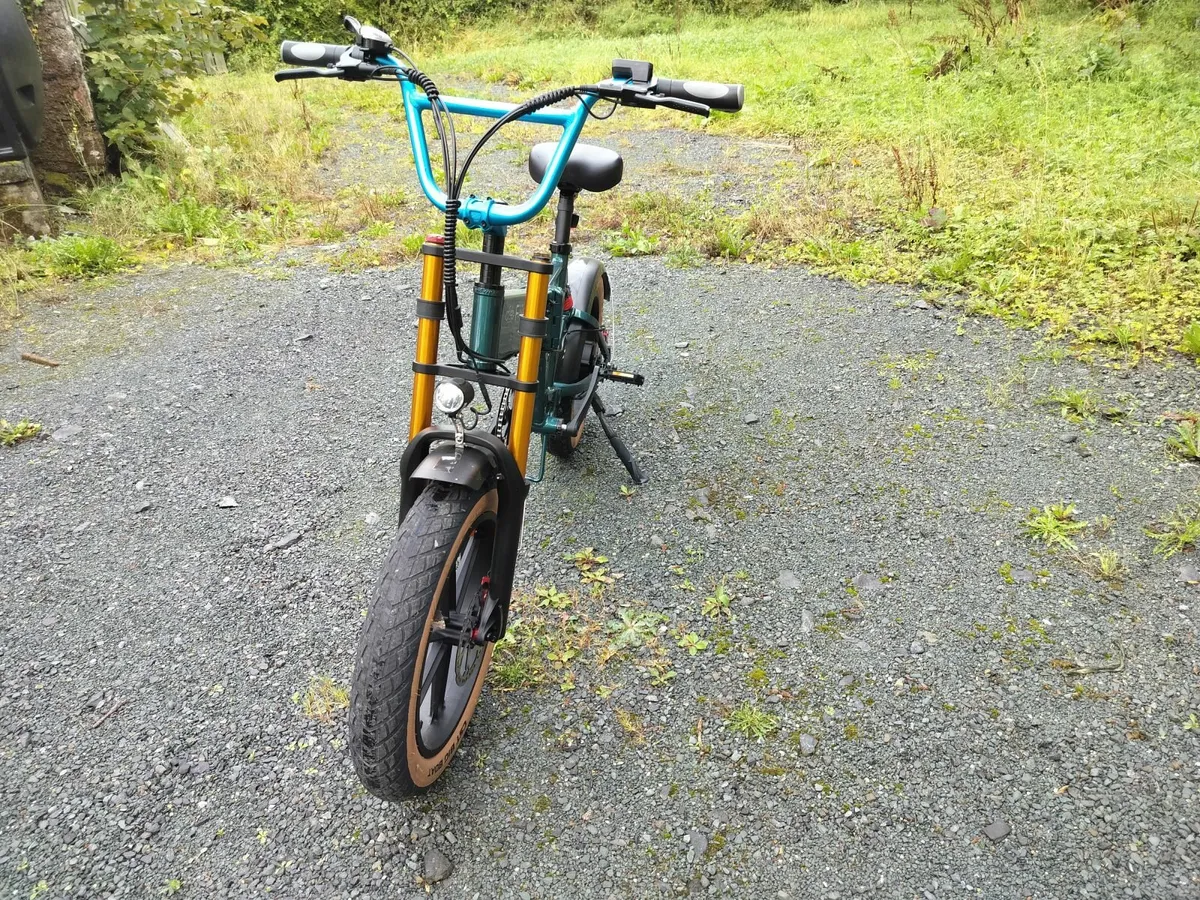 Fiido M1 Pro Electric Bike - Barely Used - Image 2