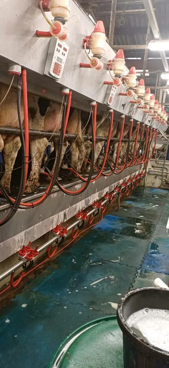 Milking parlour - Image 2