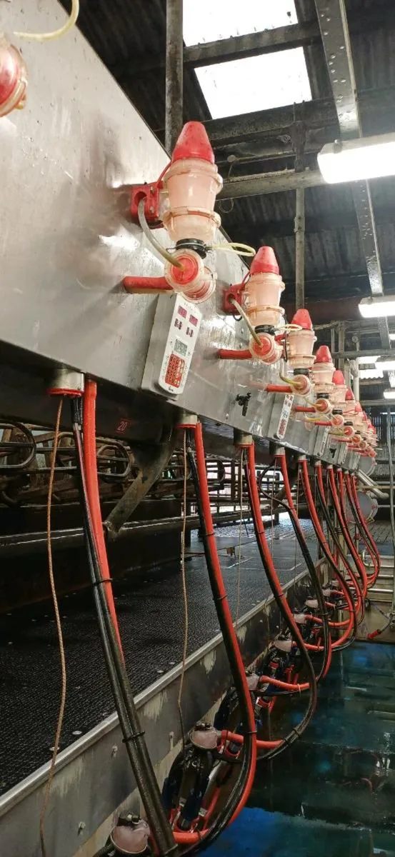 Milking parlour - Image 4