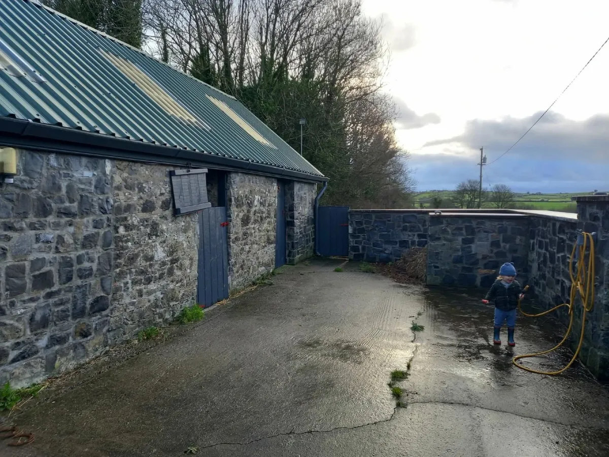DIY livery tipperary - Image 2