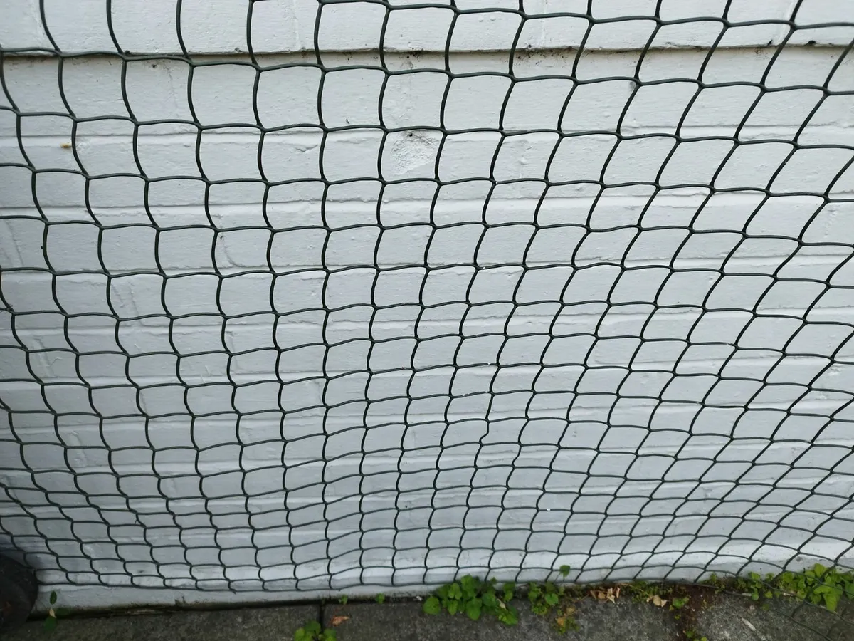 Chicken wire