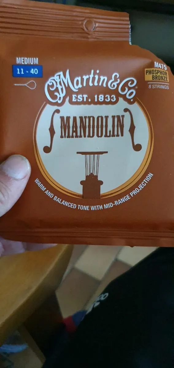 Mandolin - Image 3