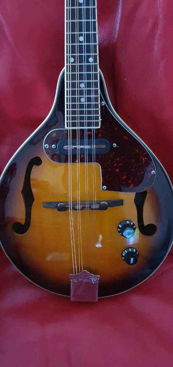 Mandolin - Image 4