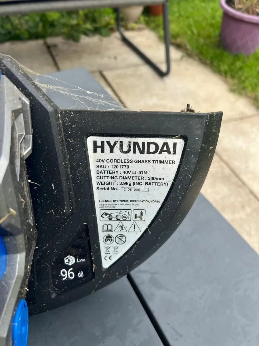 Hyundai Cordless Strimmer - Image 1