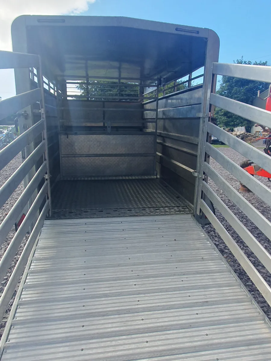 M-TEC 12ft Livestock Trailer - Image 3