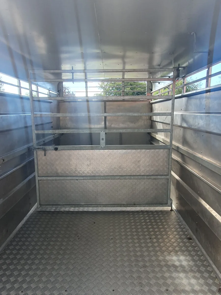 M-TEC 12ft Livestock Trailer - Image 4